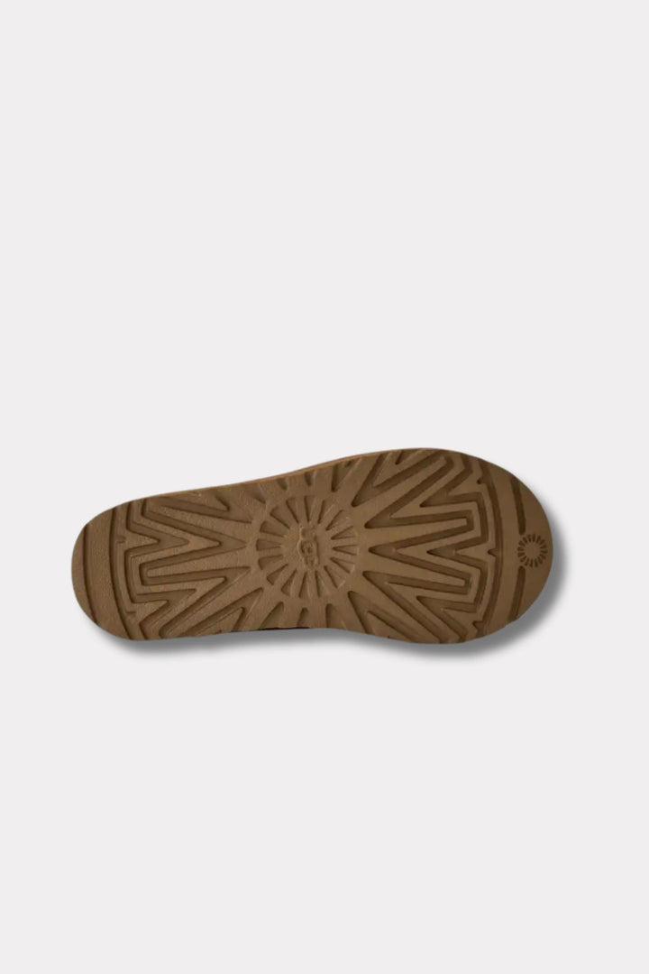 W Tasman II - Chestnut