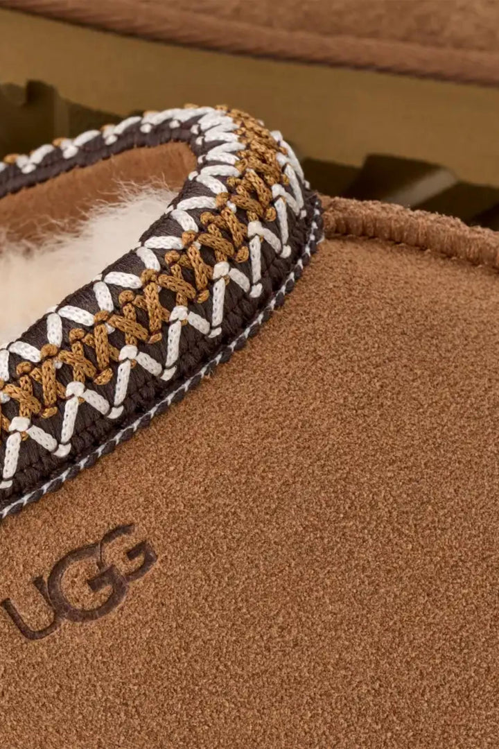 W Tasman II - Chestnut