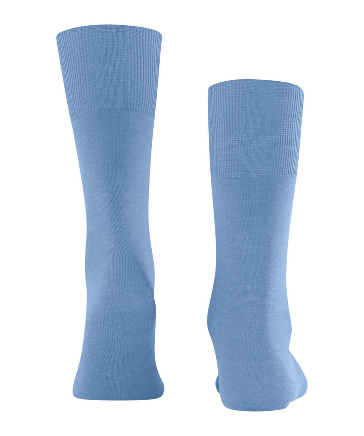 Airport Cornflower Blue