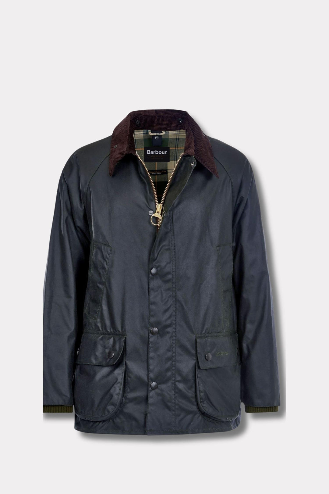 Bedale Wax Jacket- Sage