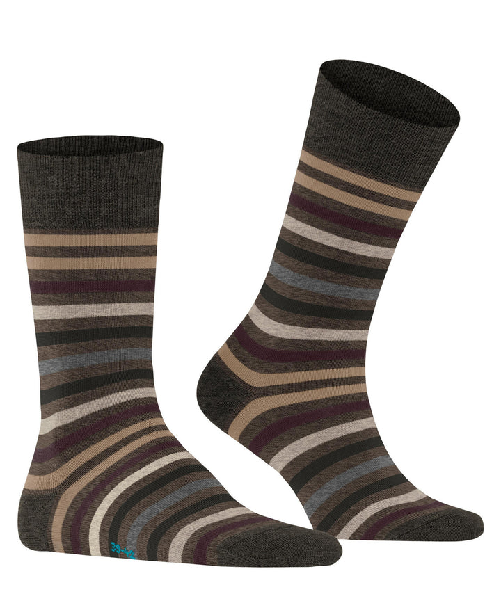 Tinted Stripe Beech
