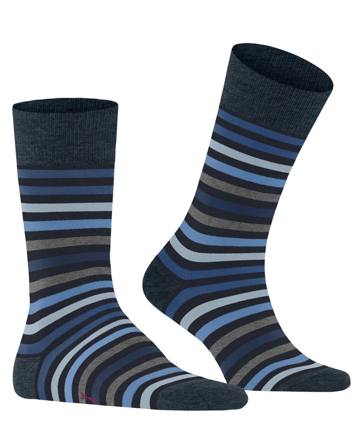 Tinted Stripe Dark Navy