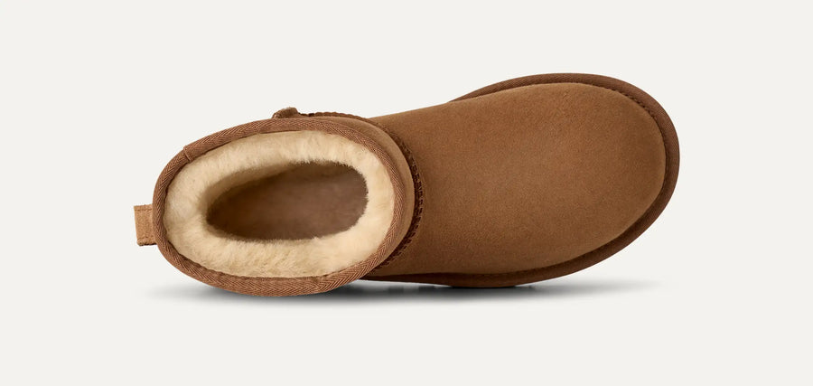Women's Classic Mini II Chestnut