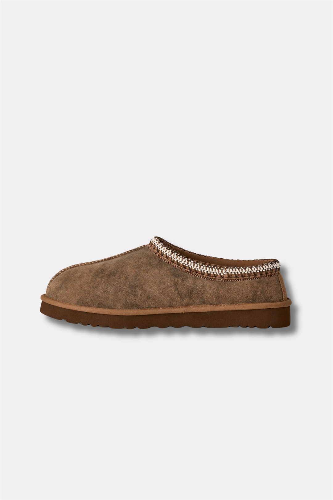 M Tasman Baxter Chestnut