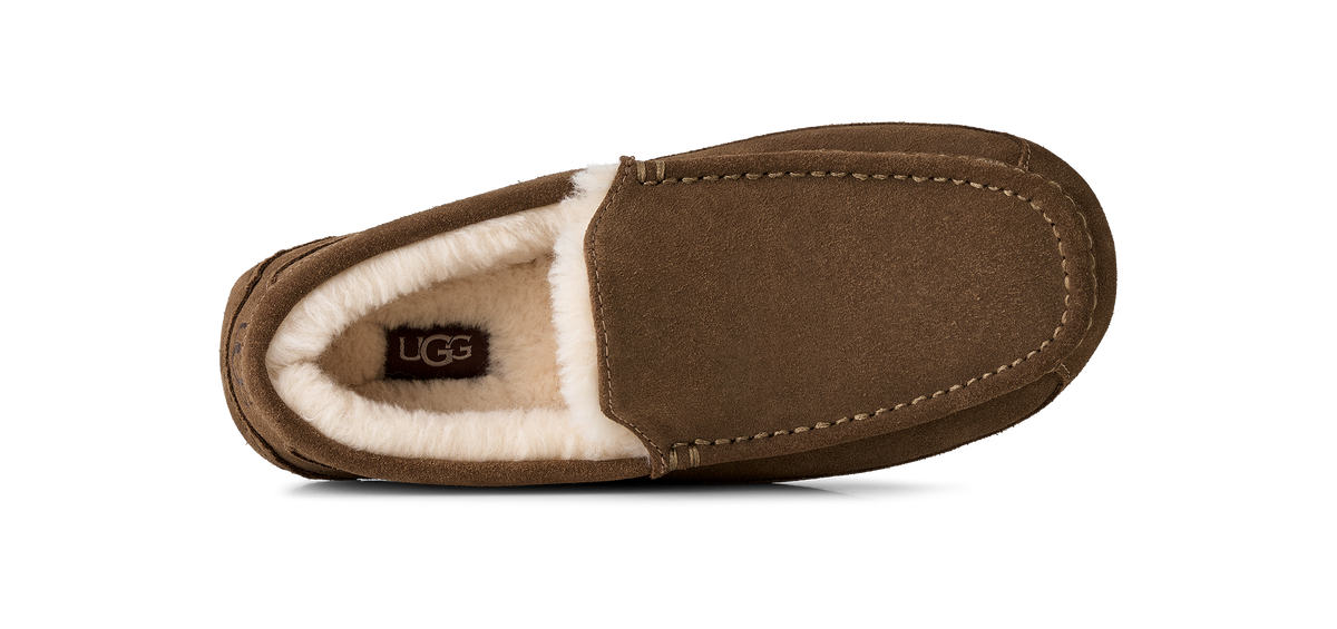M Ascot Light Bronze - bilde 6