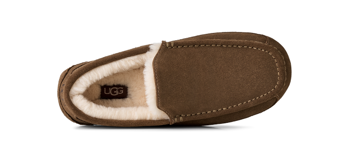 M Ascot Light Bronze - bilde 6