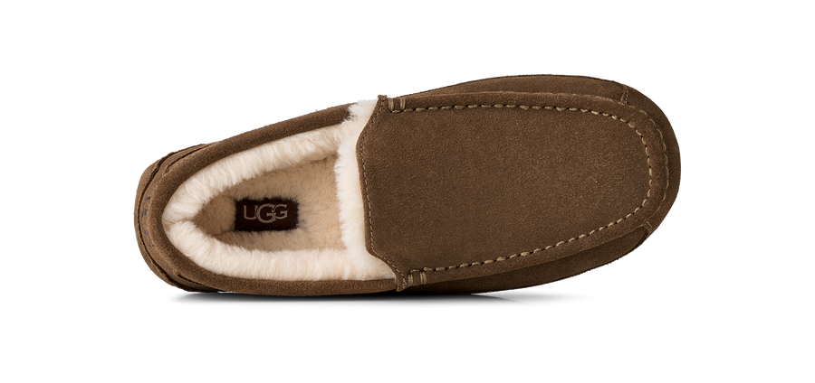 M Ascot Light Bronze - bilde 6