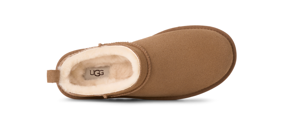 Women's Classic Micro - Chestnut
