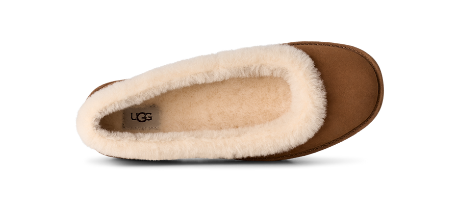 W Zora Ballet Flat - Chestnut