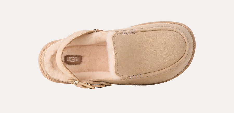 UGG Goldenstar Evelina Clog Sand Castle