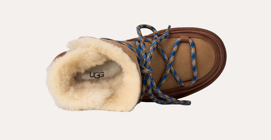 W Classic Tread Boot - Chestnut