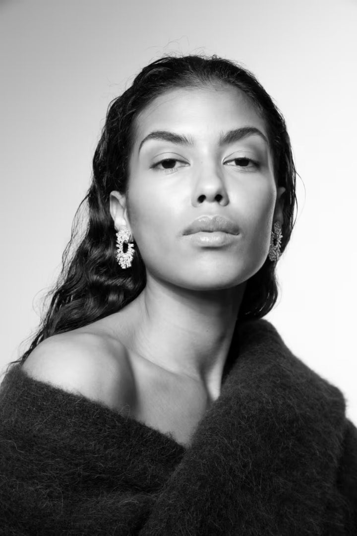 The Shimmering Earrings - Silver
