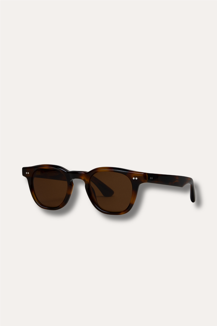 01 Tortoise