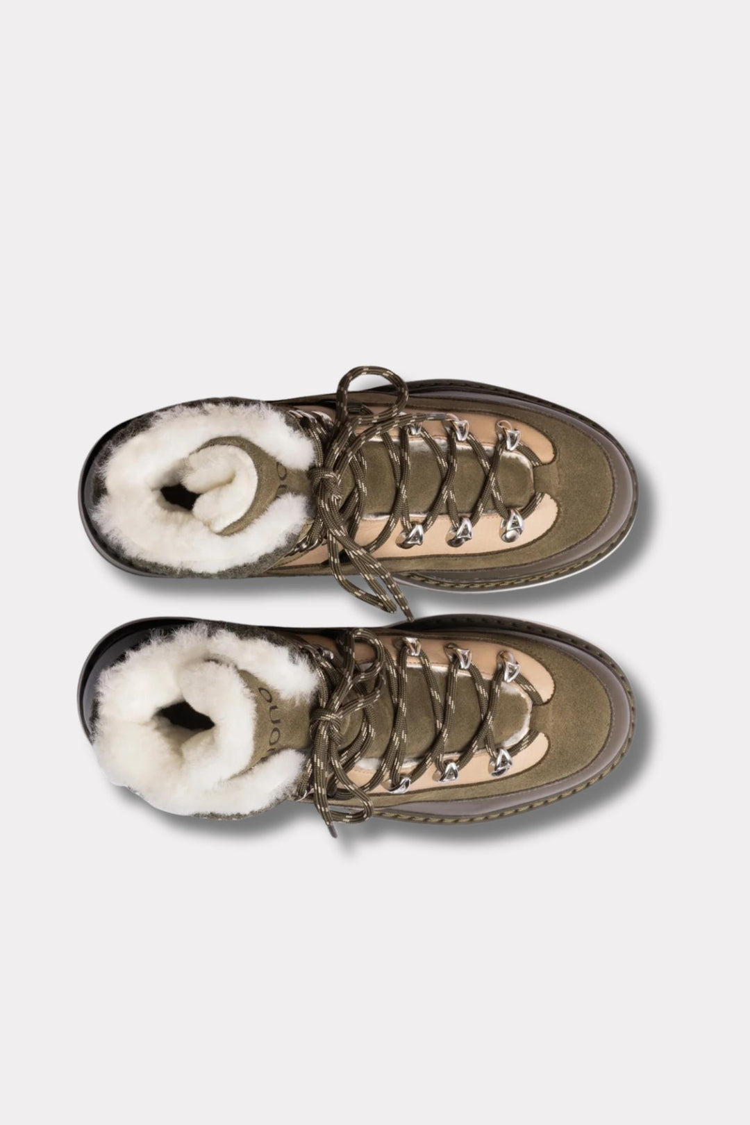 Tag Cap - Cactus Forest