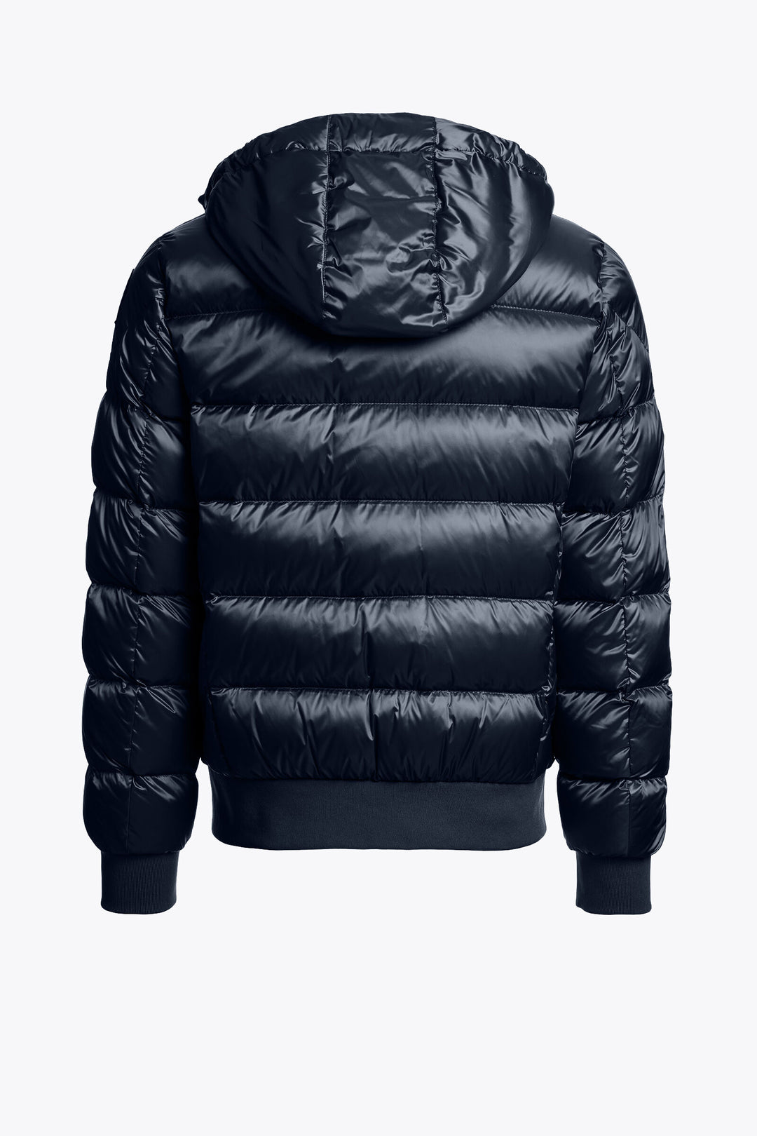 Pharrell Jacket Blue Navy
