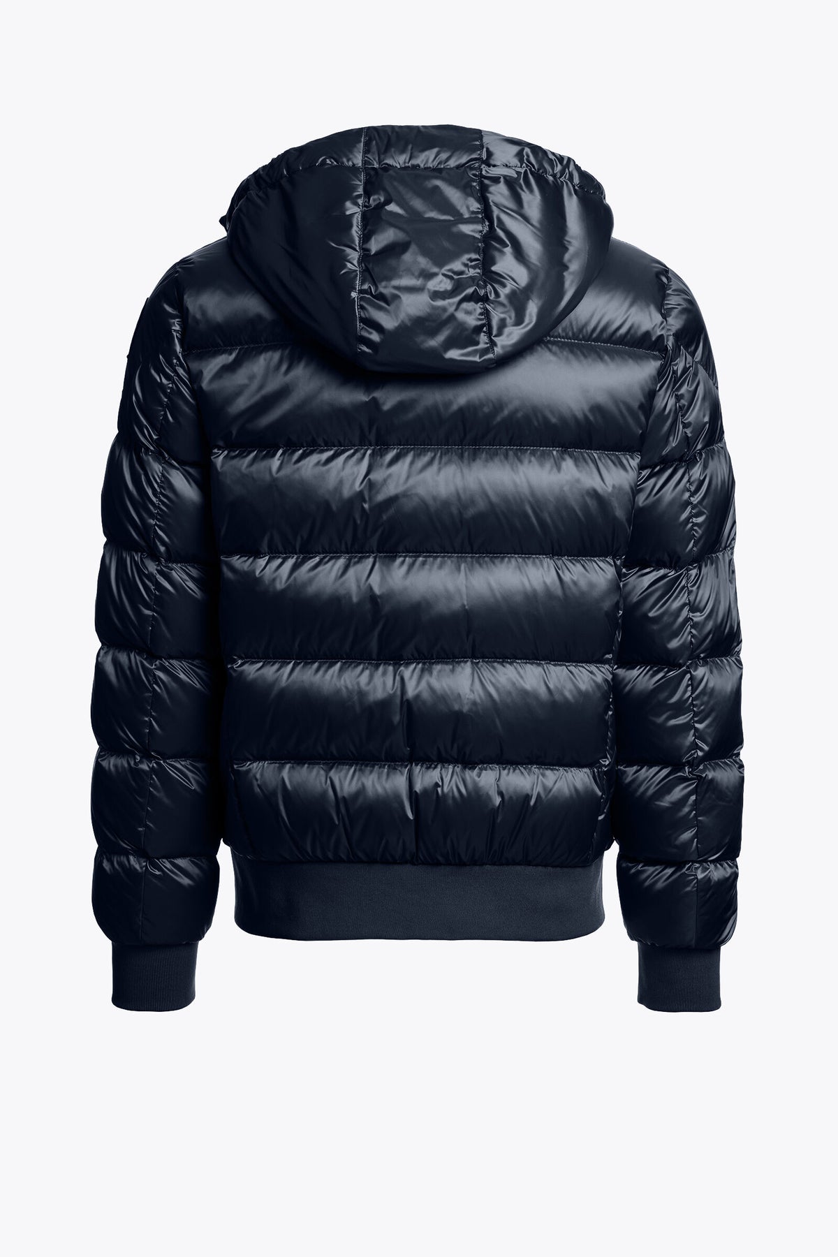 Pharrell Jacket Blue Navy