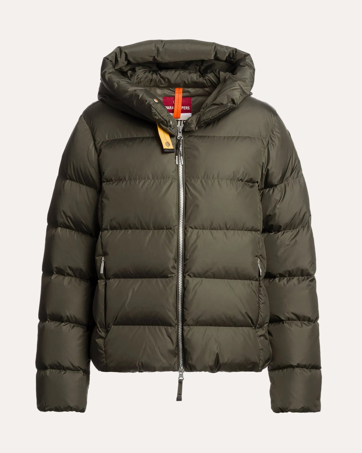 Jinny - Taggia olive