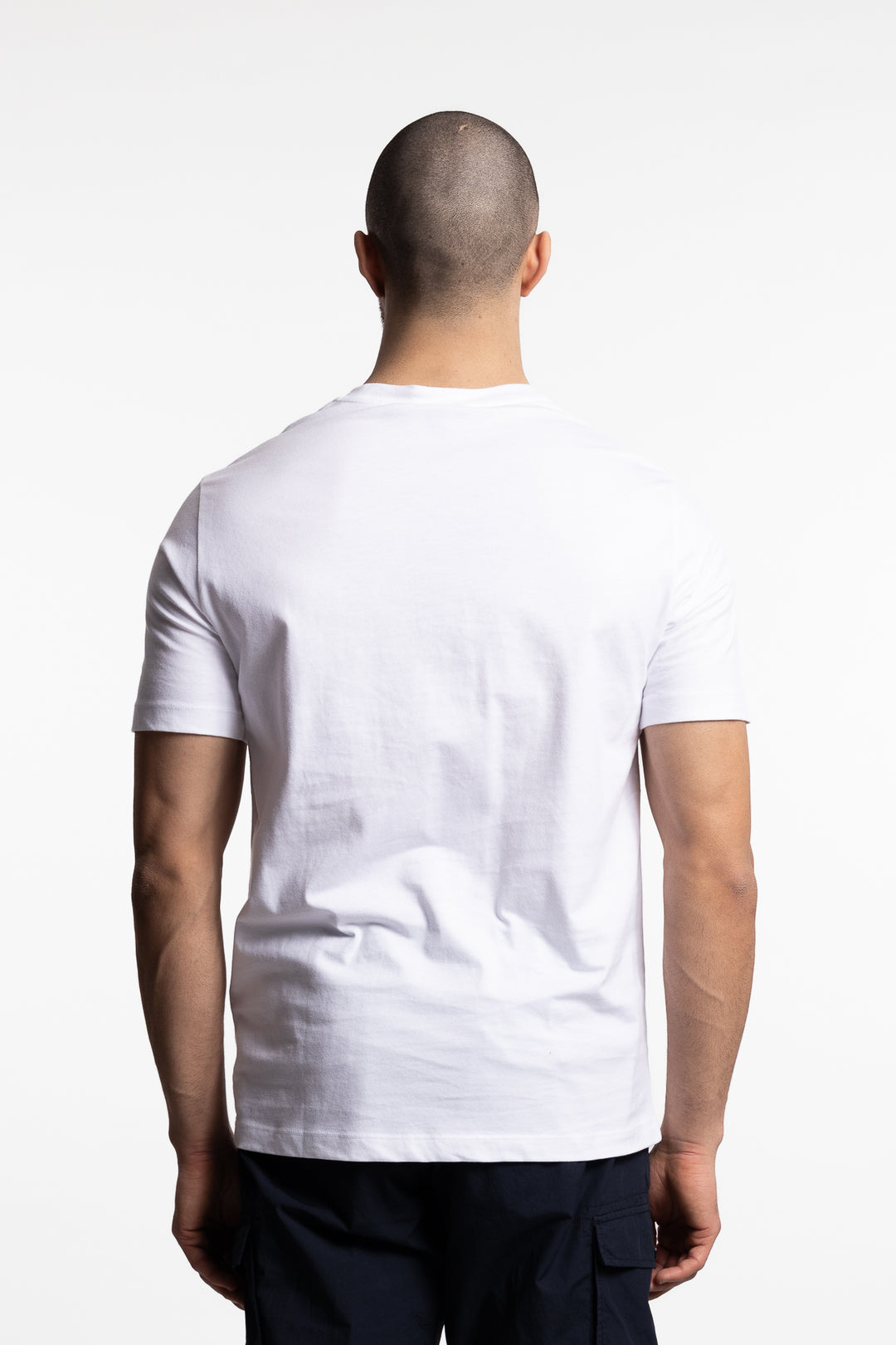 Cotton T-Shirt With Shark Print White