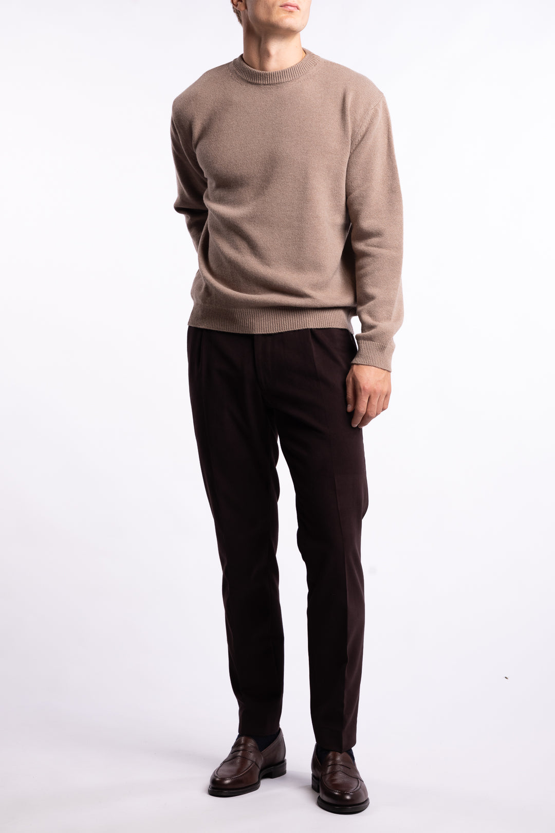 Parma Brushed Cotton Trousers Dark Brown