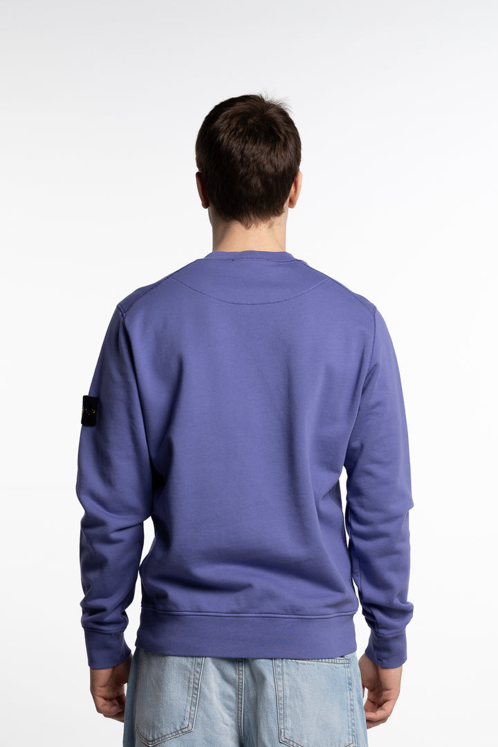 Garment Dyed Crewneck Sweatshirt Purple