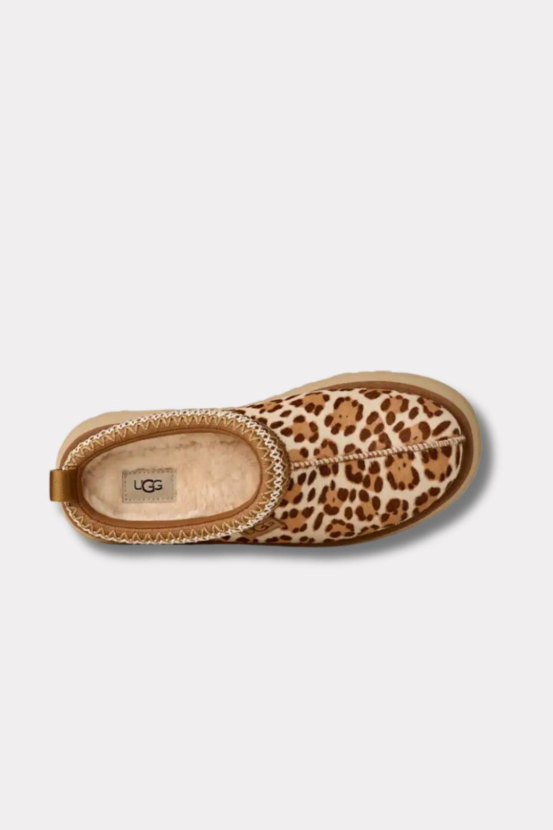 W Tazz Plains- Felicity Leopard Jasmine