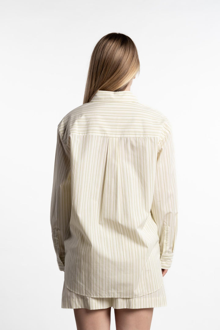 Salovar shirt 14644- Sweat Pea Stripe