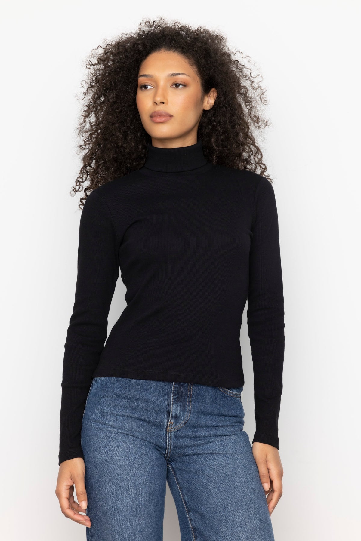 Petra Rib Turtleneck - Black