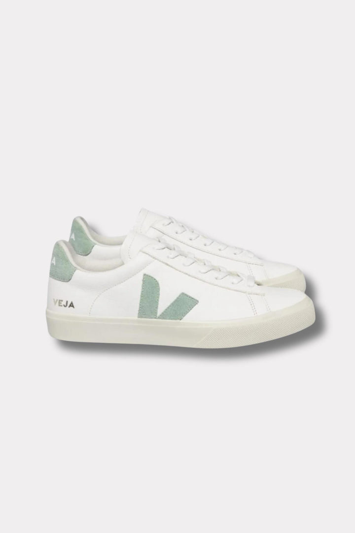 Campo Chromefree- Extra White Matcha