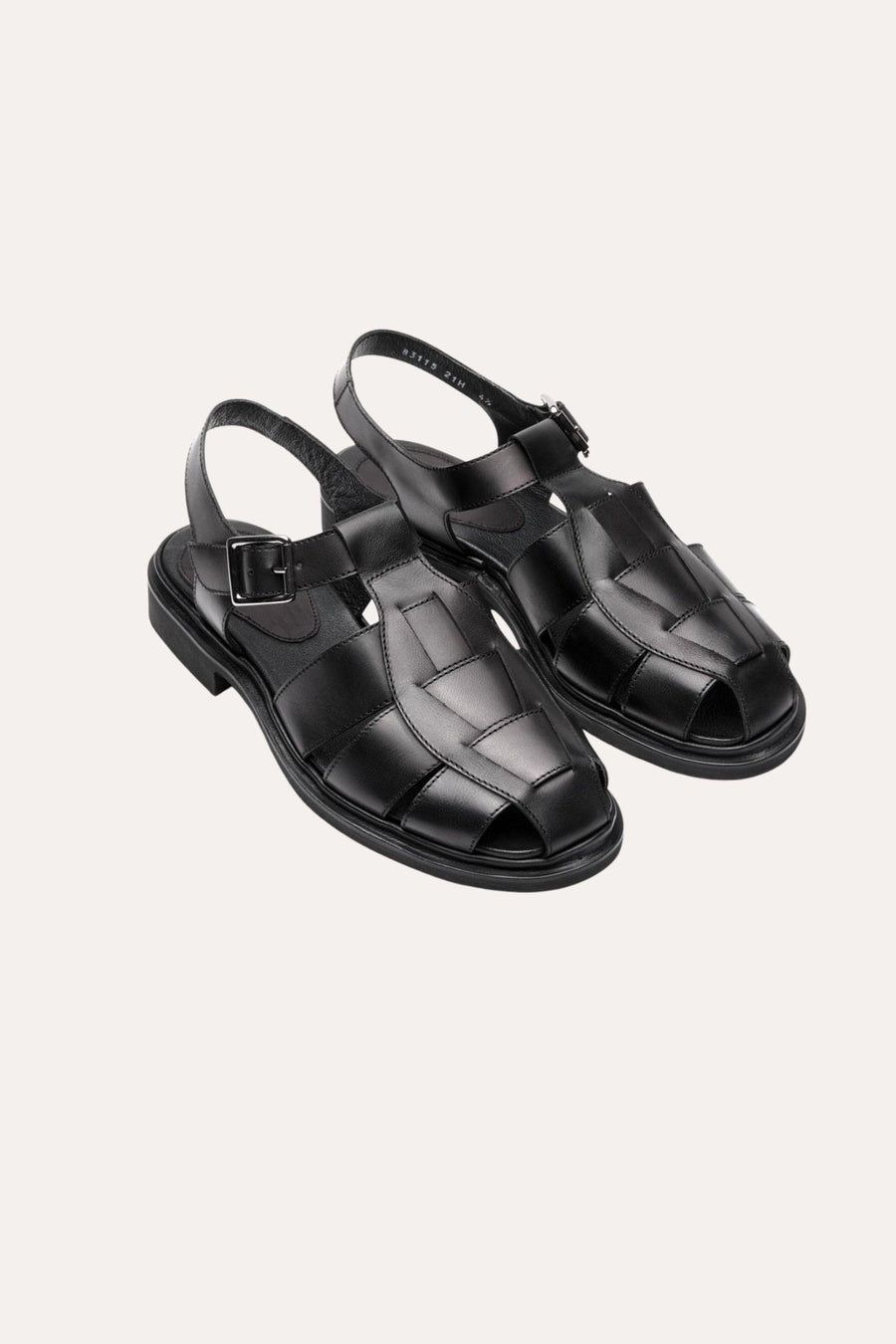 Iberis- Black
