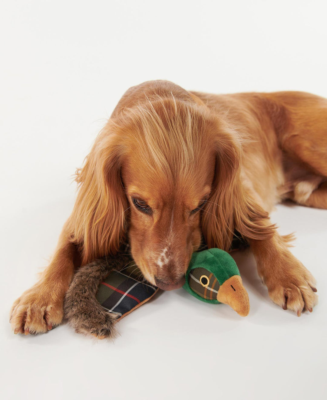 Pheasant Dog Toy Classic Tartan