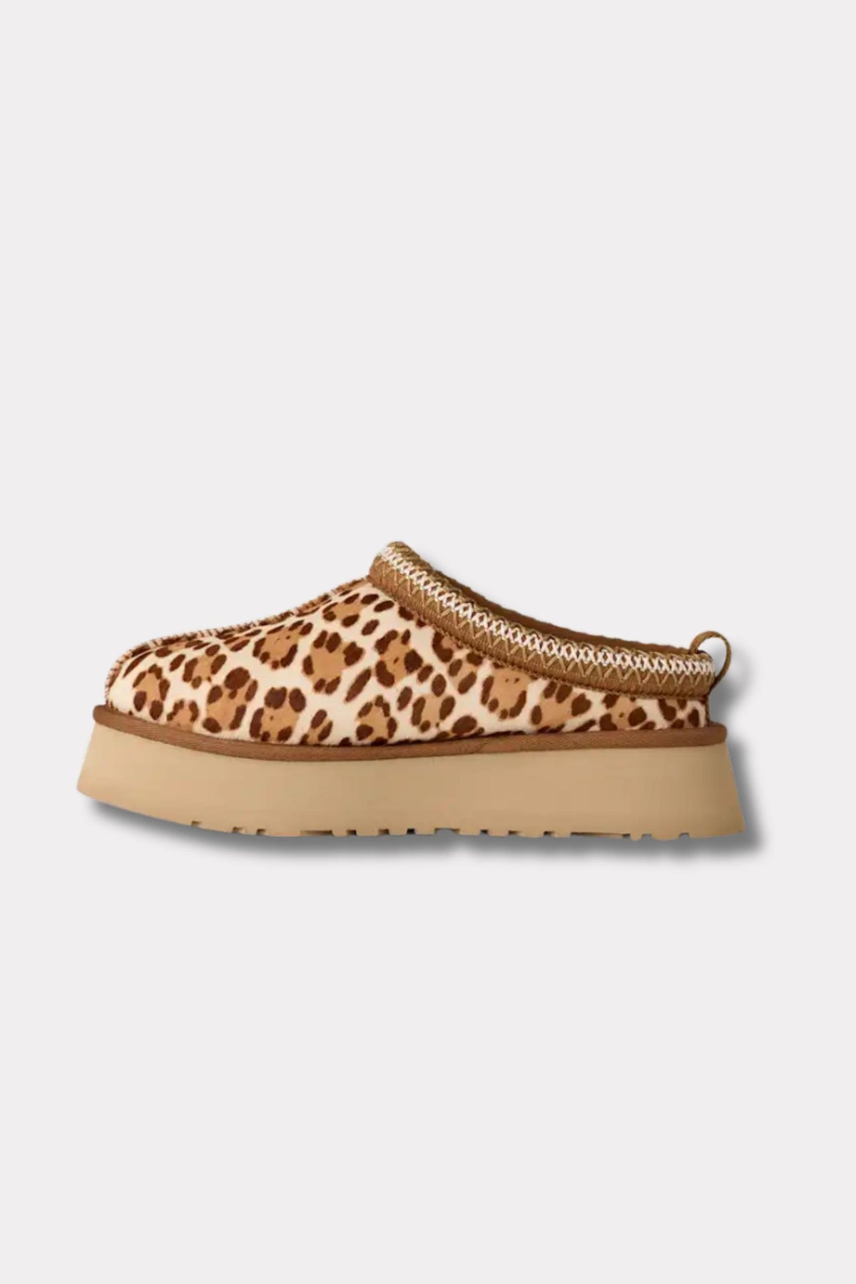 W Tazz Plains- Felicity Leopard Jasmine