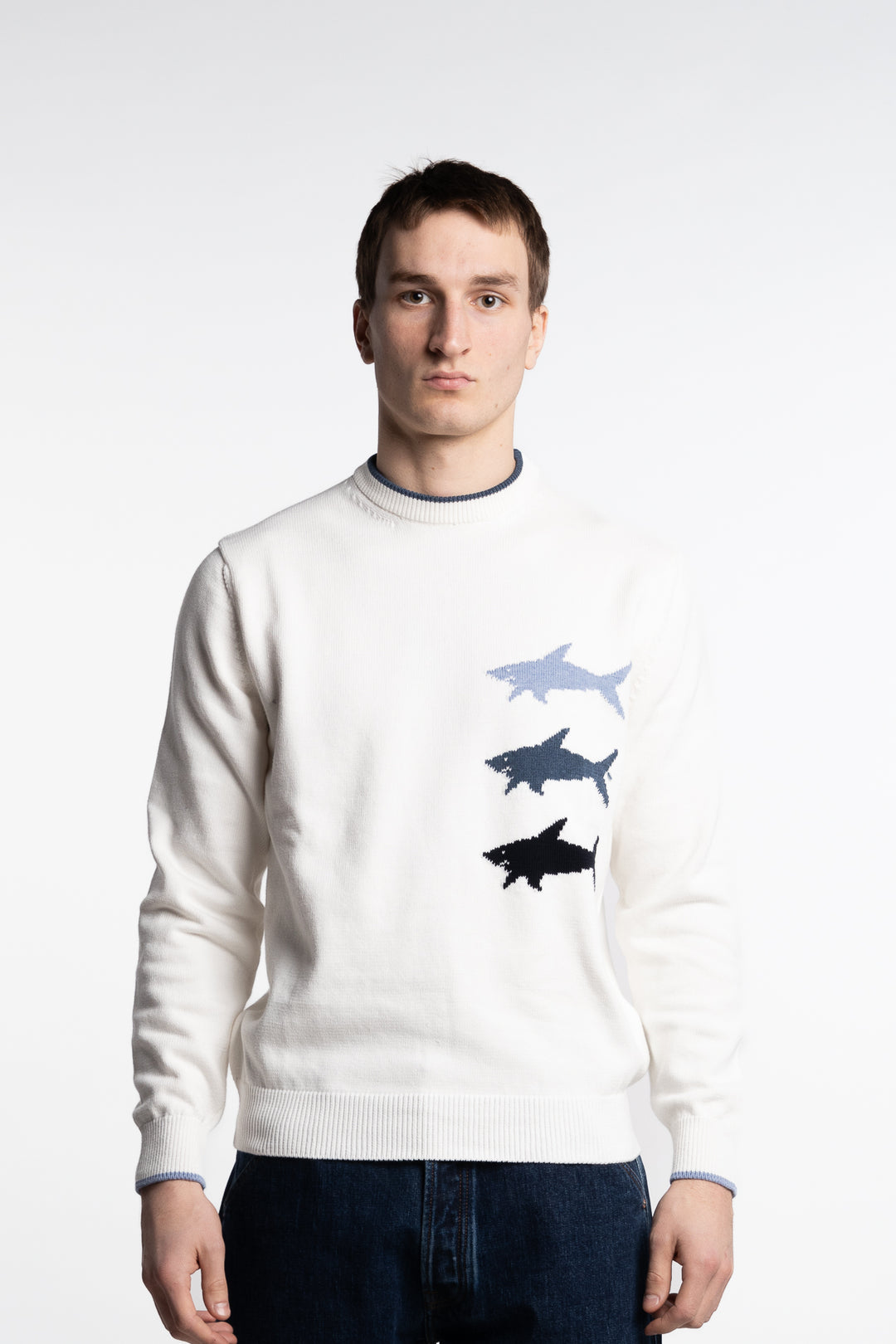 Sharks Intarsia Jacquard Cotton Crew White