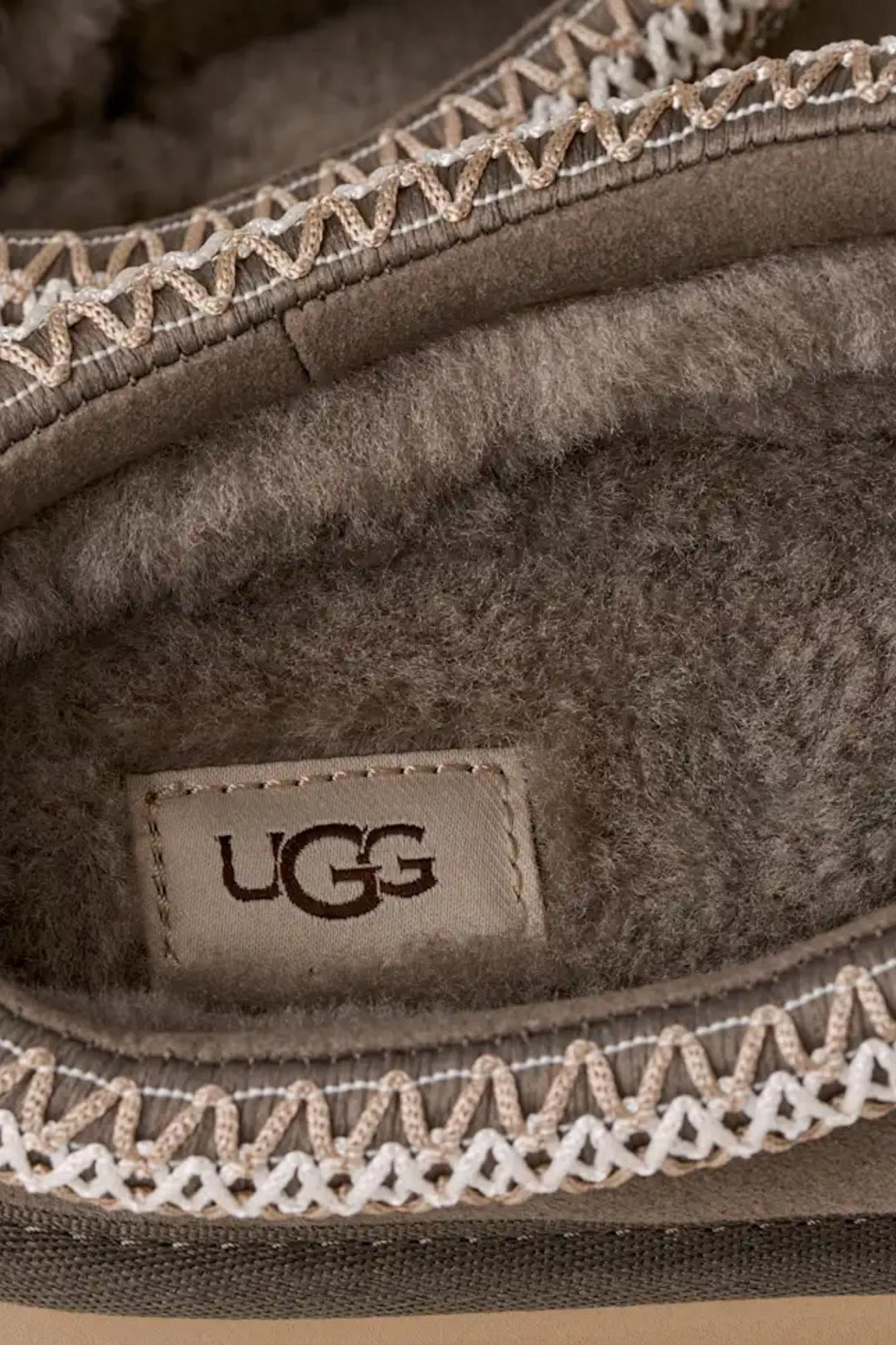 W Tazz II - Dried Organo