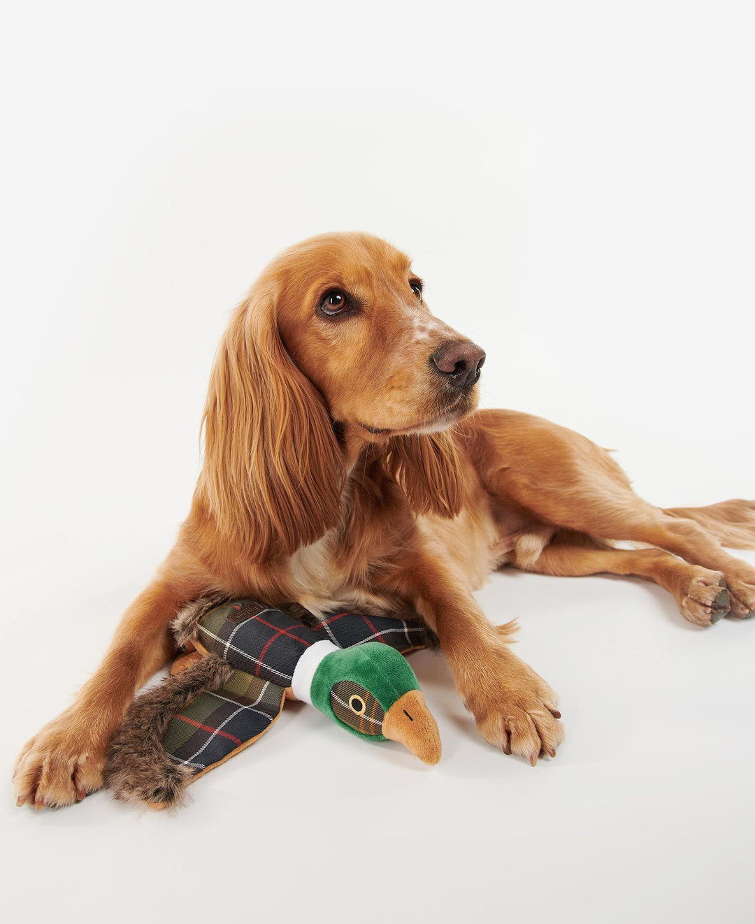 Pheasant Dog Toy Classic Tartan