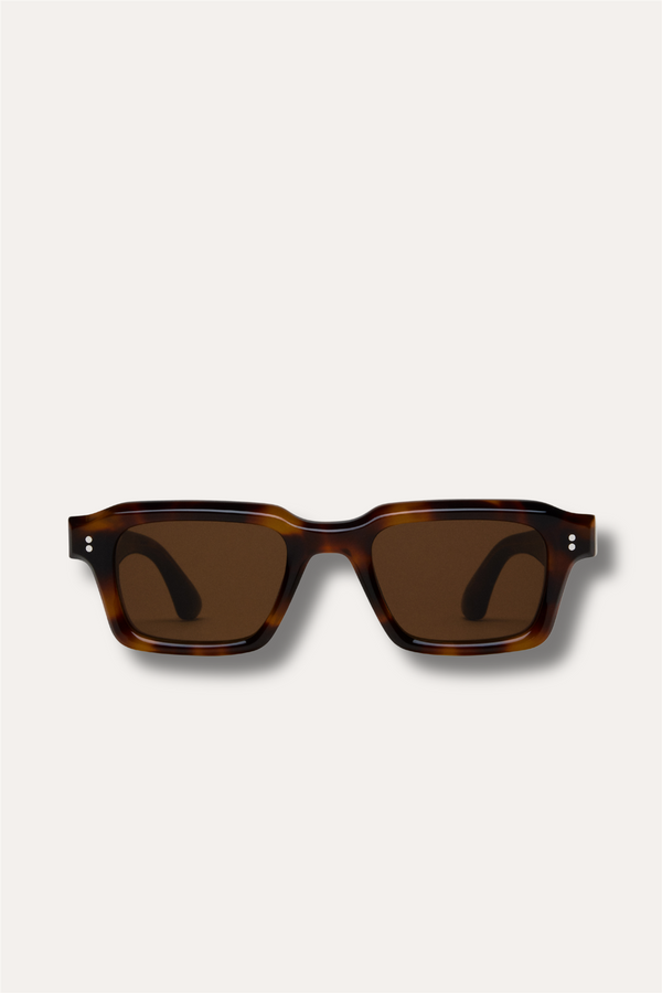 03 Tortoise