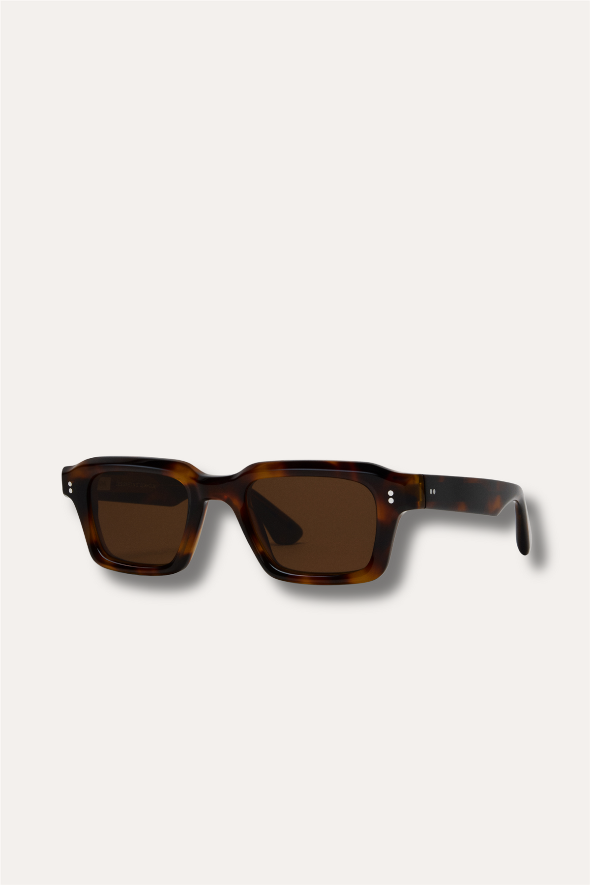 03 Tortoise