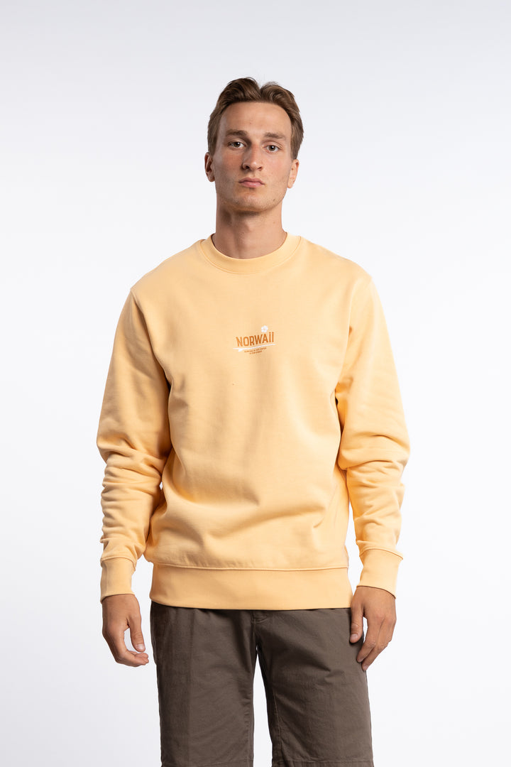 Surf Flower - Aprikos - Sweater