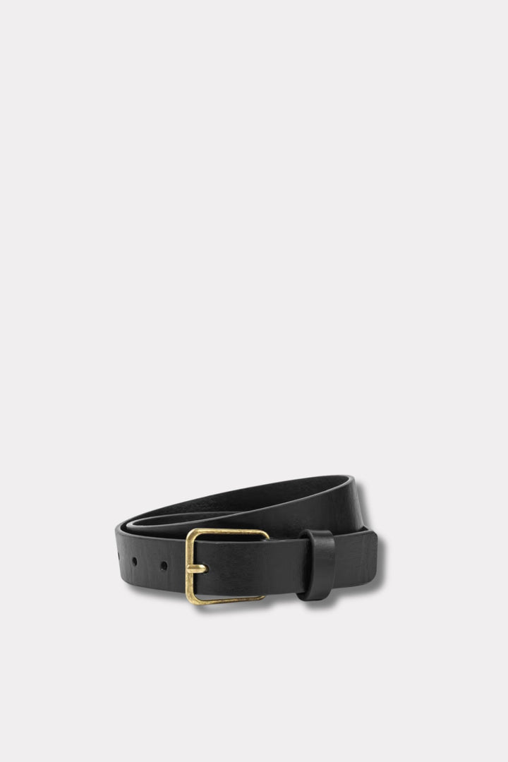 Aiden Belt- Black Gold