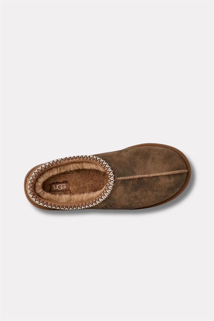 M Tasman Baxter Chestnut