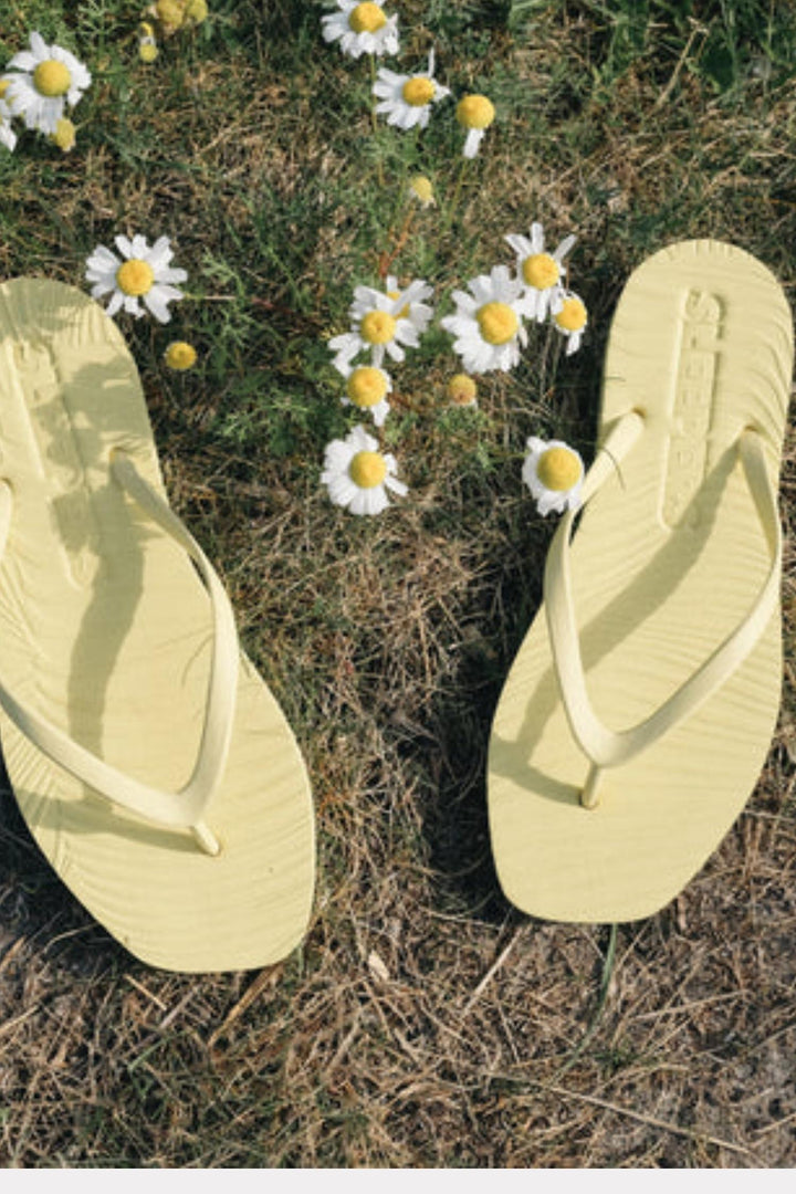 Tapered - Mellow Yellow
