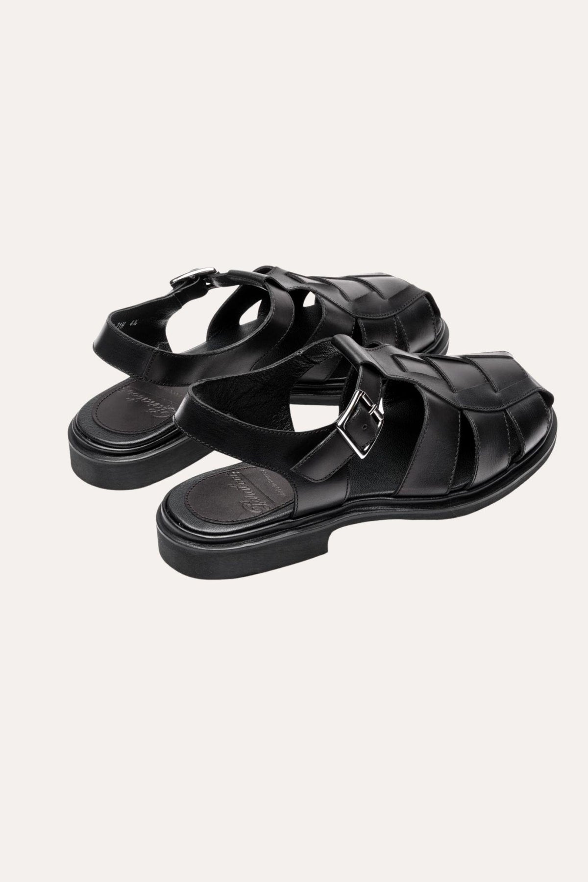 Iberis- Black