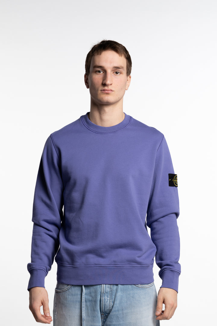 Garment Dyed Crewneck Sweatshirt Purple