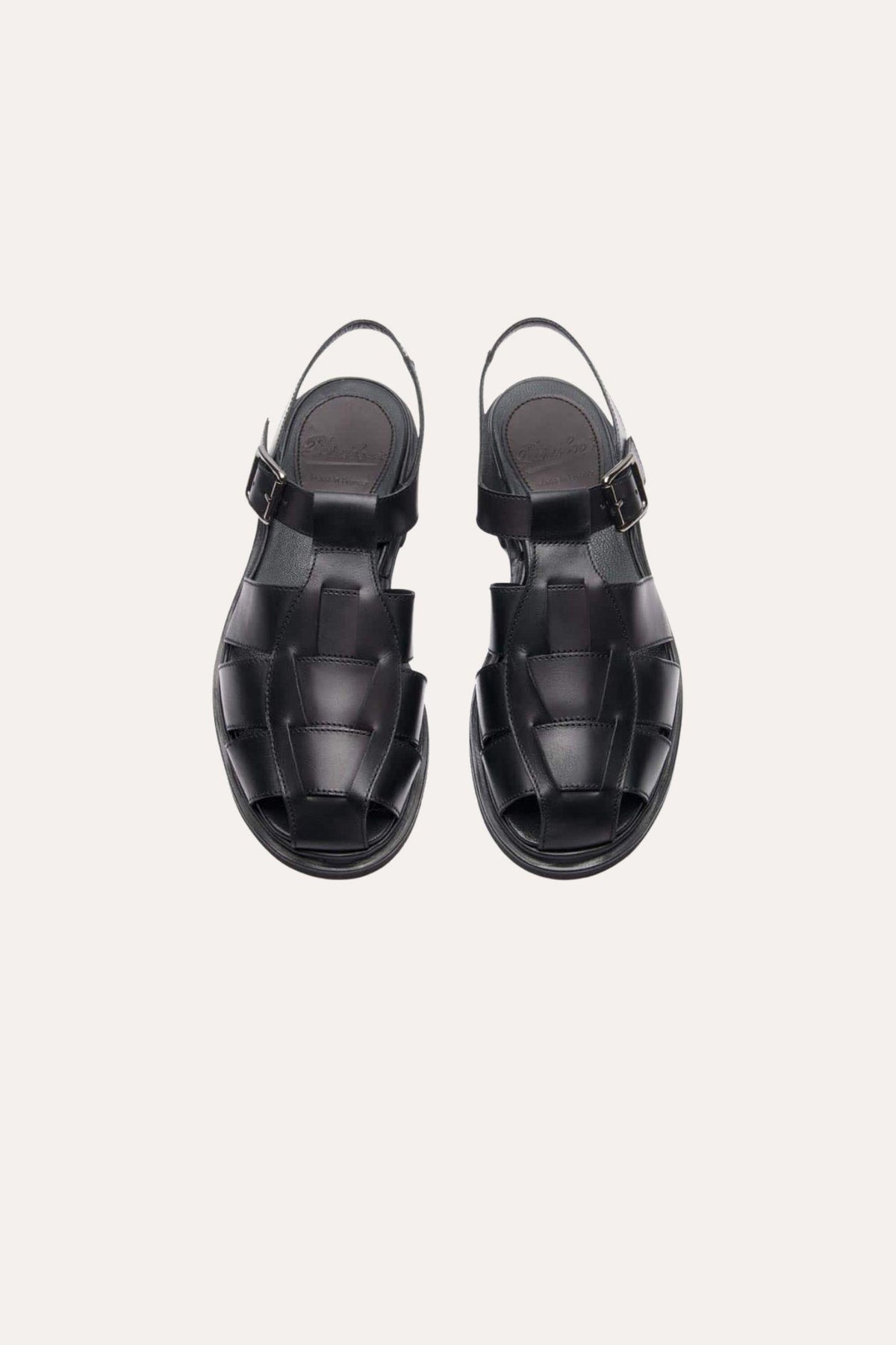 Iberis- Black
