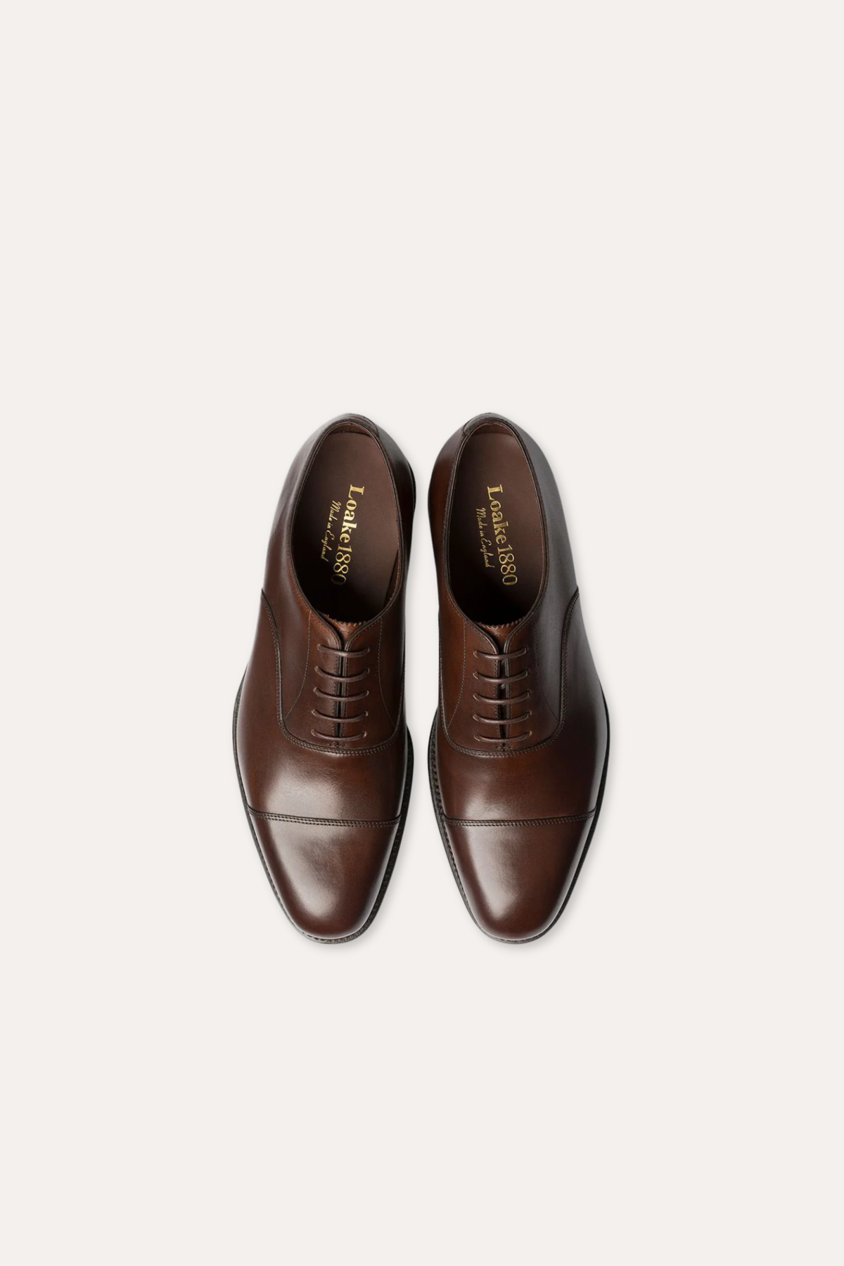 Aldwych Oxford Dark Brown Calf