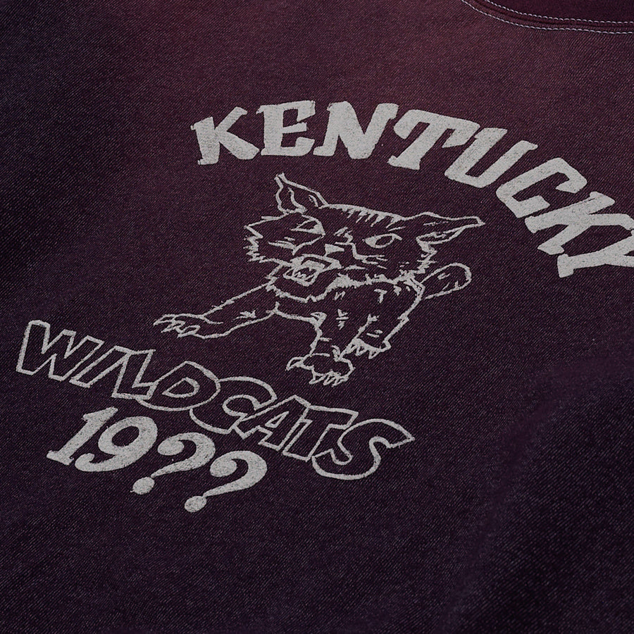 Kentucky Set In Crewneck Sunfaded Purple