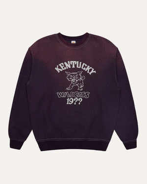Kentucky Set In Crewneck Sunfaded Purple