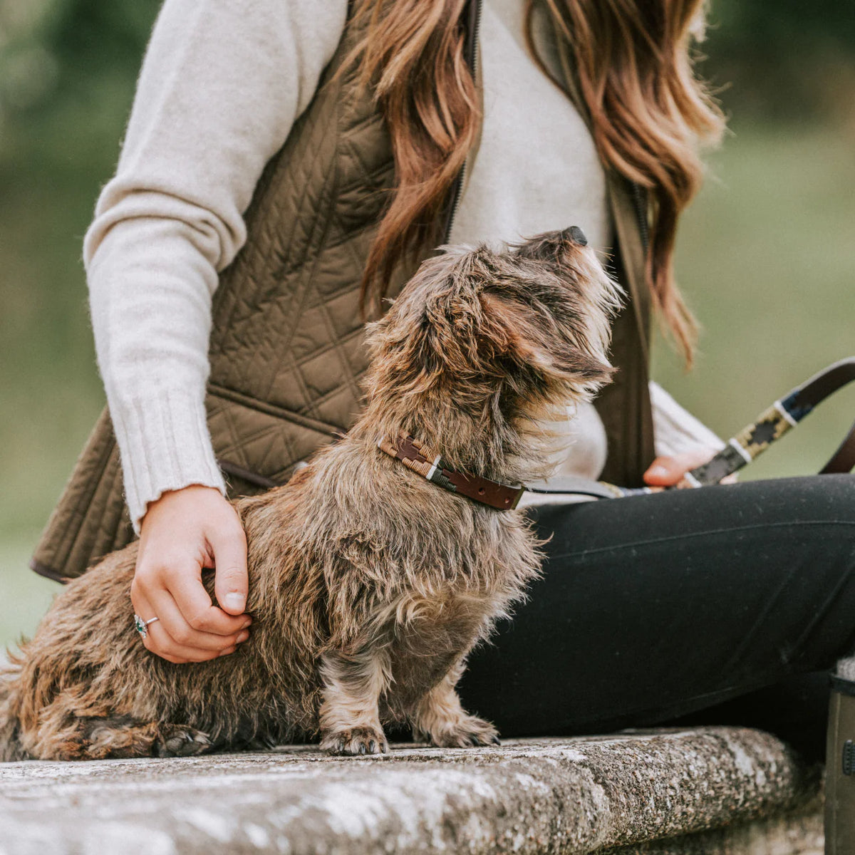 Pampa Dog Collar Caza
