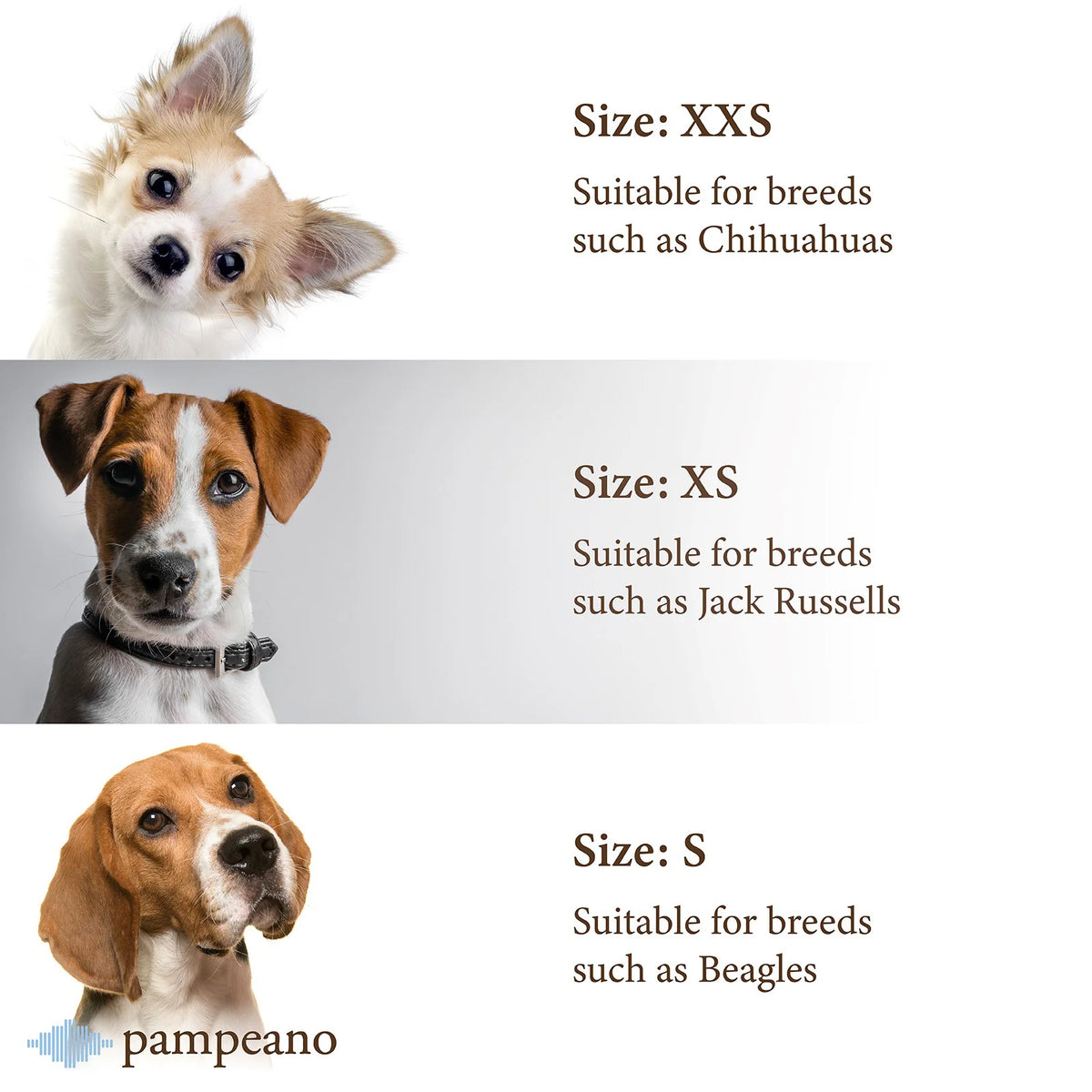 Pampa Dog Collar Caza