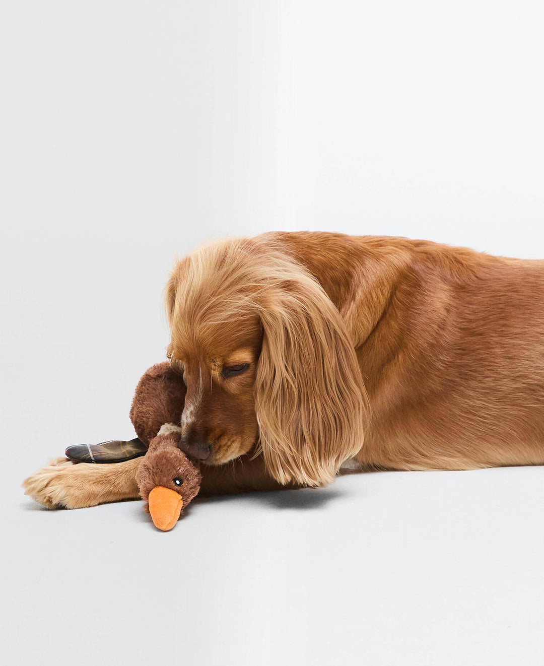 Dog Flying Duck Toy Brown