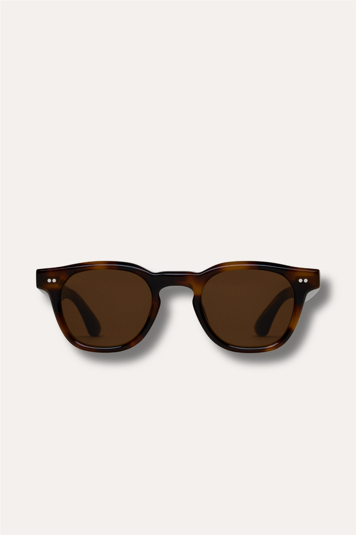 01 Tortoise